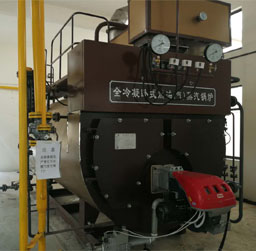 全冷凝燃氣蒸汽鍋爐(節能型)